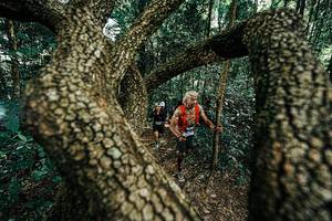 BIB: 
                            <button type="button" onclick="openModal(25392649)" class="btn btn-primary btn-sm float-right btn-popup" data-toggle="modal" data-target=".modal-high-quality">
                        <i class="fas fa-shopping-cart"></i> Add to Cart
                    </button>
                                            <button type="button" onclick="isThisMe(25392649, true)" class="btn btn-success btn-sm float-right btn-popup btn-isme hidden" data-toggle="tooltip" data-placement="bottom" title="นี่คือรูปของคุณใช่ไหม คลิกที่นี่เพื่อเอาเข้าอัลบั้ม">
                        <i class="fas fa-plus"></i> Add to album
                    </button>
                    <button type="button" onclick="isThisMe(25392649, false)" class="btn btn-warning btn-sm float-right btn-popup btn-isnotme hidden">
                        <i class="fas fa-ban"></i> Remove from album
                    </button>